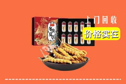 秦皇岛山海关区回收冬虫夏草
